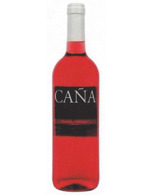 VINO CAÑADAS ROSADO 75 CL - 1